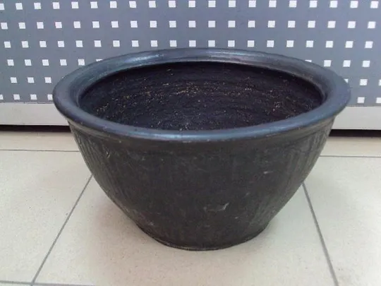 Глечик горшок черный высота 17 см, диаметр 31,5 см глина сохран №11660 Ціна