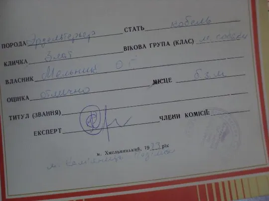 диплом  кинологический союз украины лот 5 шт №4267 Характеристики
