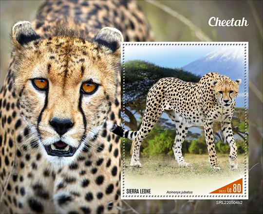 Того - Леопарды-2022.Чистый полный красивый комплект.MNH. Ціна