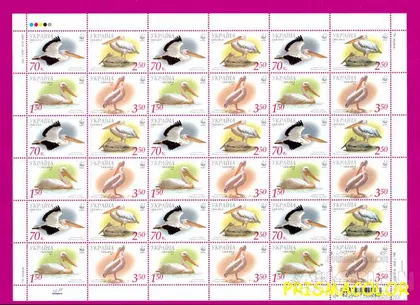 фото, ** УКРАИНА 2007 лист Фауна Пеликаны
