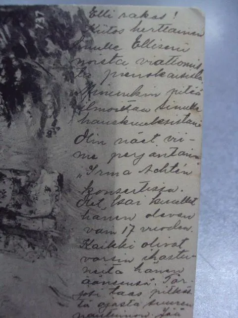 открытка сбор ягод выборг контиолахти 1904 №1553 Продаж