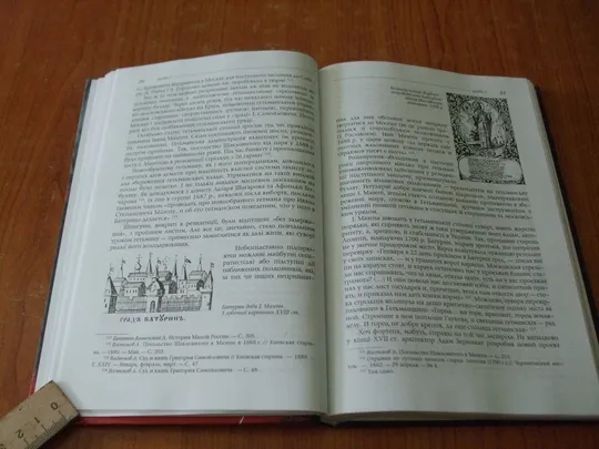 Павленко С.Загибель Батурина. 2 листопада 1708 р. Інтернет-аукціон