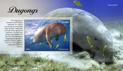 фото, Либерия-Дюгони-2020.Чистый полный комплект.MNH.
