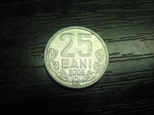 25 бані 2005 Молдова Ціна