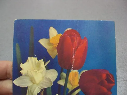 Купити открытка 8 марта 1987 костенко №5710