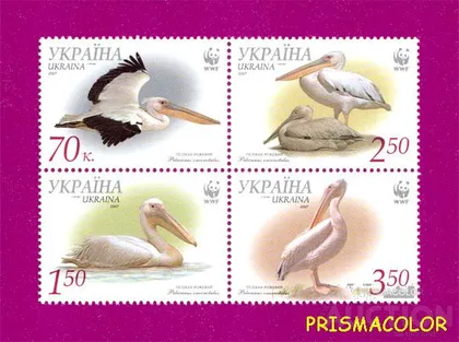 фото, ** УКРАИНА 2007 N855-858 сцепка Фауна Пеликан розовый