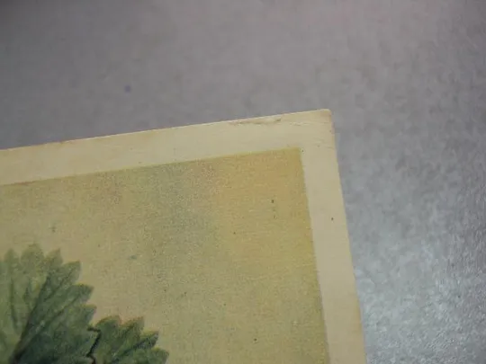 открытка клубника бушкина 1958 №12485 З аукціону