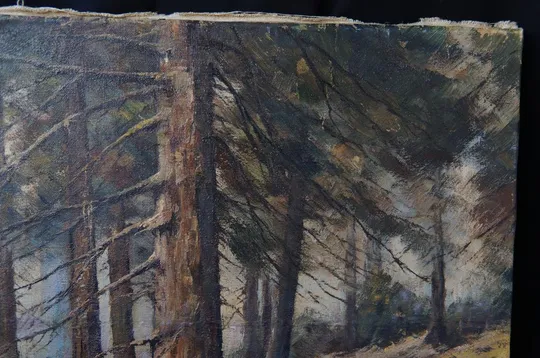 Картина Пейзаж лес, деревья, подписная F.S. Холст масло 65,5 х 50 см №220 Де купити