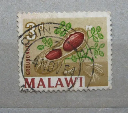 фото, ФЛОРА - АРАХИС = МАЛАВІ - МАЛАВИ = 1964 р. = гаш. ==