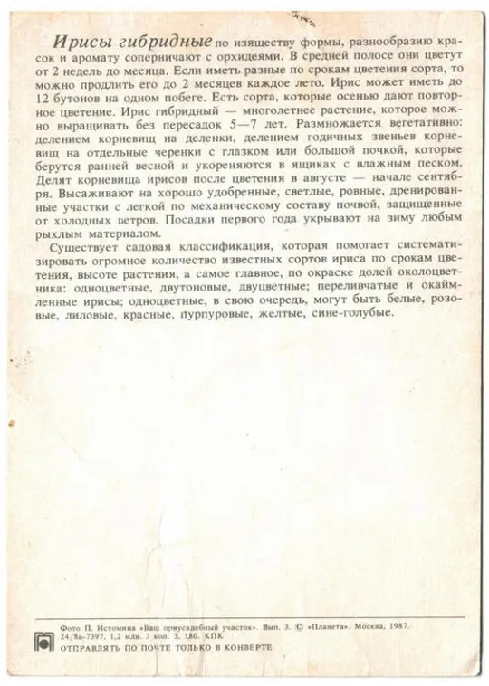 Купити Ирисы