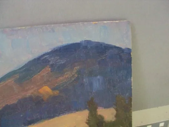 Картина пейзаж река Ильцы Карпаты картон, масло Черников В.М. 49 х 68,5 см №3368 З аукціону