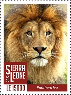 Сьерра Леоне-Лев-2022. Чистый полный красивый ЛИСТ-30 марок. Серия- 1 марка.MNH Ціна