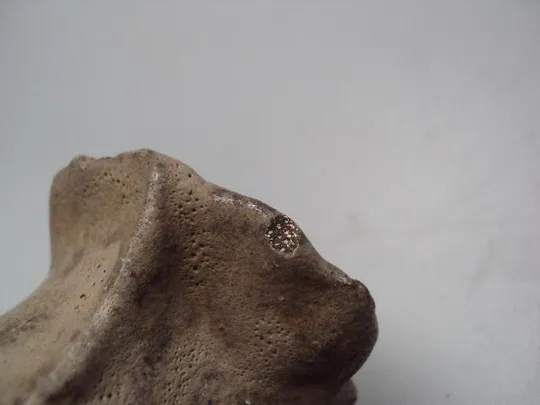 Фигура керамика слон слоник слоненок с бантиком авторский UF Европа высота 8,4 см №11022 Інтернет-аукціон