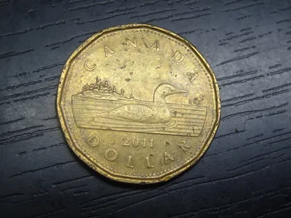 фото, 1 долар 2011 Канада