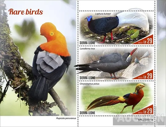 Сьерра Леоне -Птицы - 2022. Чистый полный красивый комплект-MNH.. З аукціону
