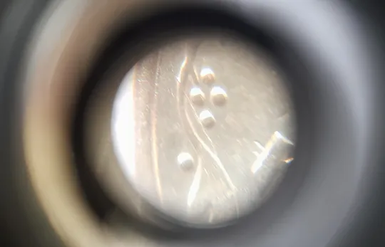 (2451) 50 копійок 1992 2.1ААм розколи у 1 та 6 гронах на реверсі - 17 монет одним лотом (50 копеек 1992 2.1ААм брак) Продаж