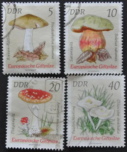 фото, ГДР Флора Грибы 1974