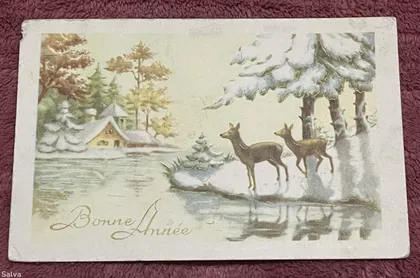 фото, Поштова листівка 1900-1960