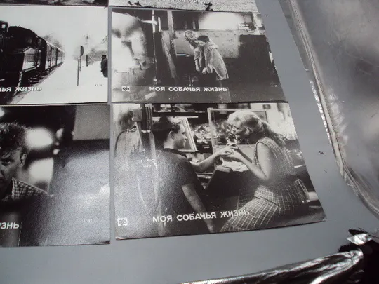 Кадр из фильма Моя собачья жизнь 1, 2, 3, 4, 5, 6 - 92 фотография 23,7х18,3 см лот 6 шт №18352МЯ Де купити