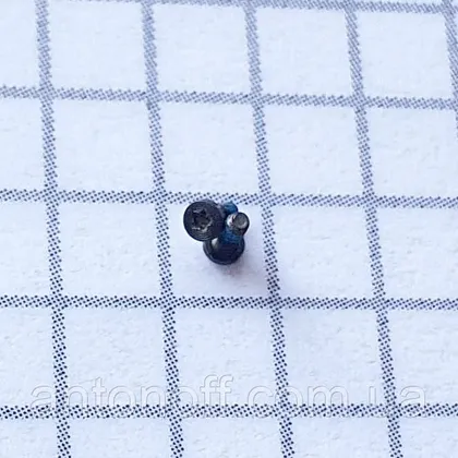фото, Гвинти шурупи ZTE Blade A6 A0620 від кришки для телефона (2шт)