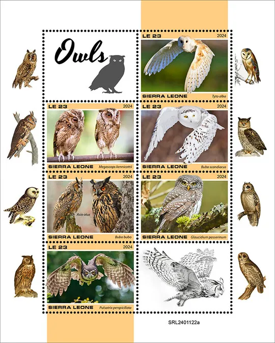 Сьерра Леоне-Птицы-Совы-2024.Чистый полный красивый комплект.MNH Ціна