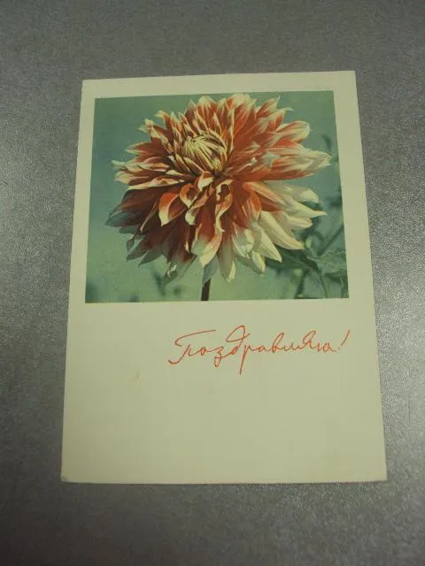 открытка костенко поздравляю  1966 №11232м Ціна