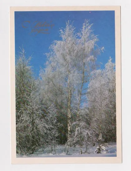 фото, С НОВЫМ ГОДОМ = 1986 г. = ДОРОЖИНСКИЙ = чистая #