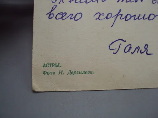 Открытка цветы астры фото И. Дергилева 1970 год  №18049 Де купити