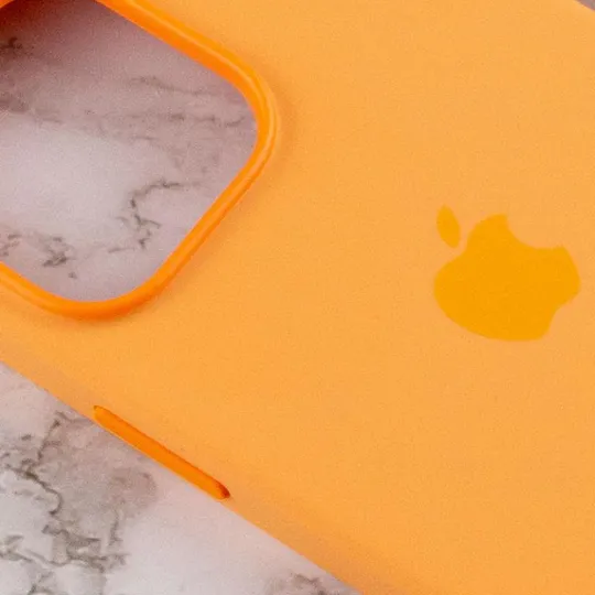 Чехол Silicone case (AAA) full with Magsafe and Animation для Apple iPhone 13 Pro Max (6.7") Інтернет-аукціон