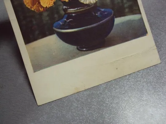 открытка ноготки 1960 голанда №5795 З аукціону