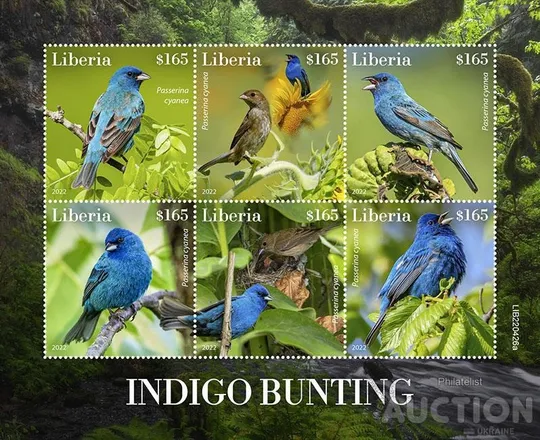 Либерия-Птицы-2022.Чистый полный красивый комплект-MNH Ціна