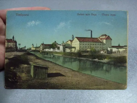 Купити открытка Румыния Тимишоара Timisoara 1926 10 Vedere spre Bega Moara Mora №2347