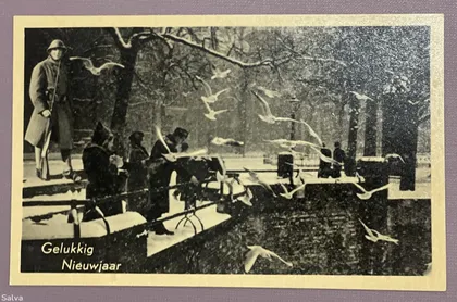 фото, Поштова листівка 1900-1960