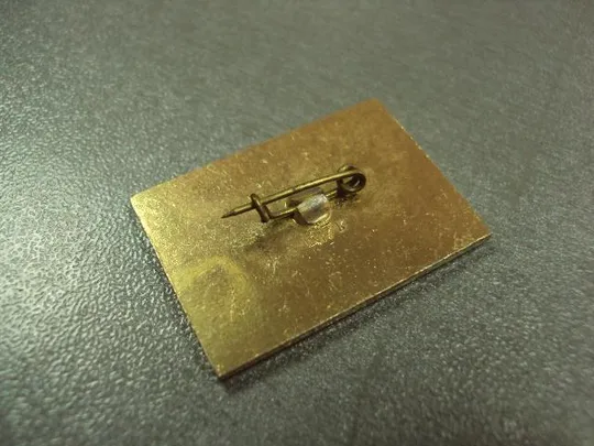 знак раубичи стадион №2511 З аукціону