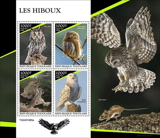 Того- Попугаи -2024. Чистый полный красивый комплект. MNH. З аукціону