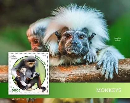 фото, Нигер-Обезьяны-2019. Чистый полный красивый комплект. MNH.