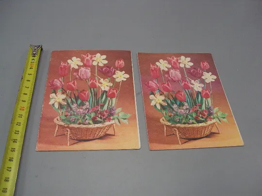 Открытка телеграмма цветы нарциссы и тюльпаны фото Л. Круцко 1986 год лот 2 шт №16152 Ціна