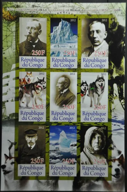 фото, Конго Амундсен Фауна Собаки 2012