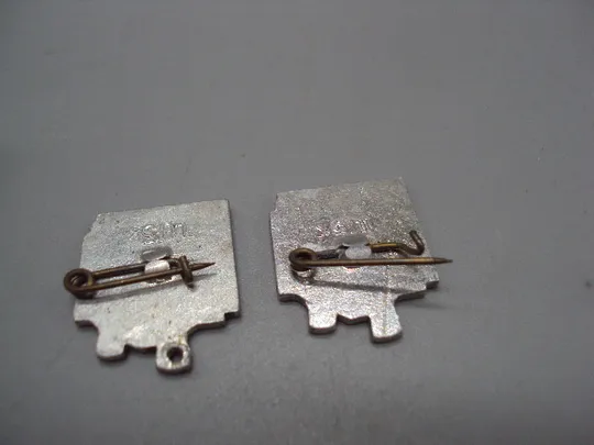 Знак Брестская крепость орден архитектура Брест орденоносный контурный Беларусь лот 2 шт №16963 З аукціону