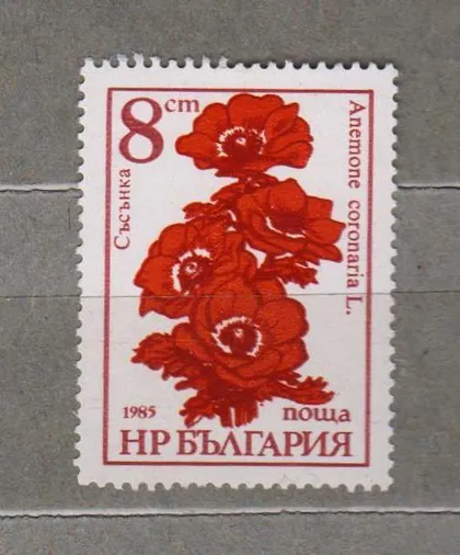 фото, ФЛОРА - ЦВЕТЫ = БОЛГАРИЯ = 1985 г. = негаш.