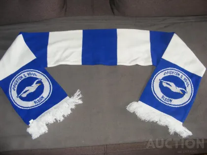 фото, Роза (шарф)Футбольный клуб «Brighton and Hove Albion Football Club»