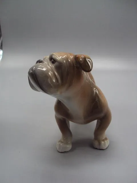 Фигура фарфор статуэтка Германия HUS Unterweissbach собака бульдог собачка высота 12,5 см №14255 Інтернет-аукціон