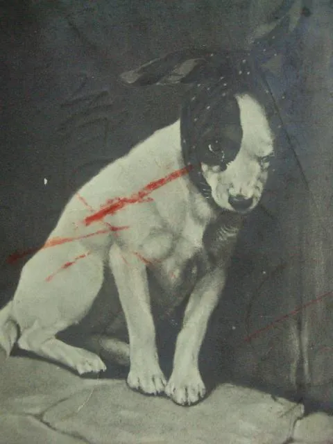 открытка сегодня не здоровится, винница 1911 №1390 Продаж