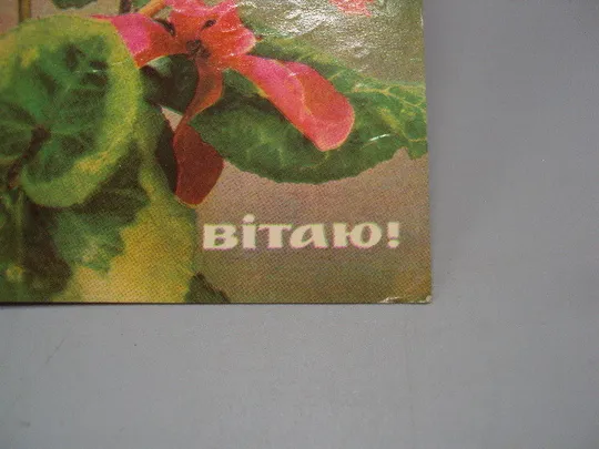 Купити Открытка Поздравляю! цветы авторы К. Шамшин, А. Сольдат 1971 год №17994