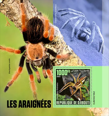 фото, Гвинея-Пауки-2023. Чистый полный красивый комплект. MNH.