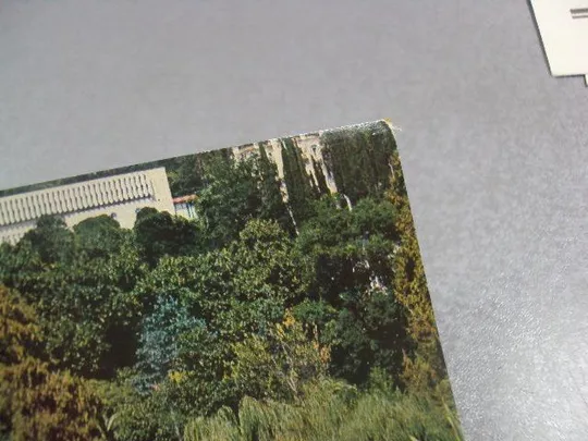 открытка грузинская сср гагра парк 1978 костенко №1054 Продаж