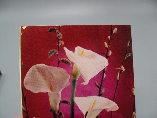 Купити Открытка С праздником 8 марта цветы каллы №17883