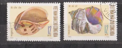 фото, МУШЛІ - РАКУШКИ = В'ЄТНАМ - ВЬЕТНАМ = 1969 р. = гаш. ==