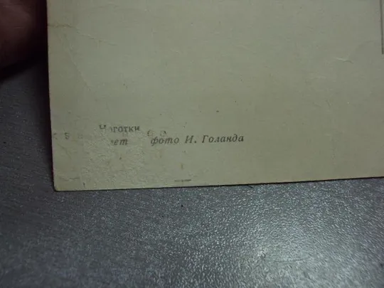 открытка ноготки 1960 голанда №5795 Інтернет-аукціон