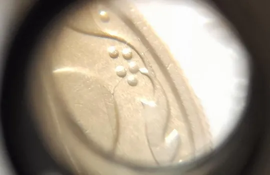 Купити (3653) 10 копійок 2009 розкол від канту через 1 гроно до "0" номіналу (10 копеек 2009 брак)